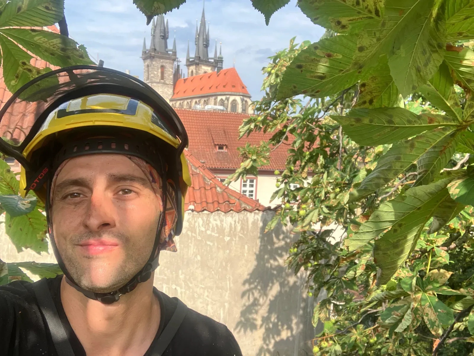 Ošetření jírovce u Týnského chrámu - Praha 1, Celetná - foto 3