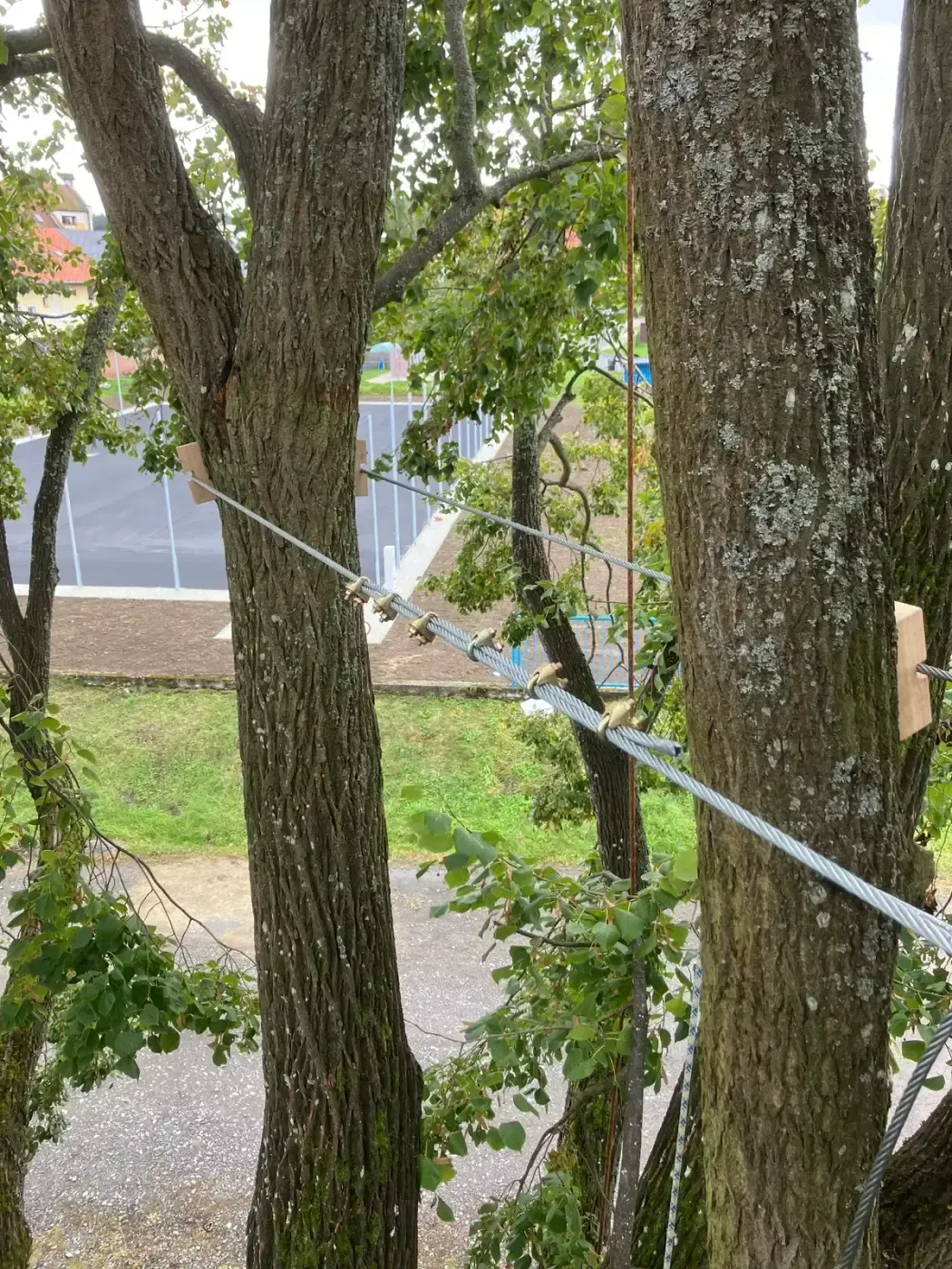 Instalace statické vazby lípy - Černá v Pošumaví - foto 3
